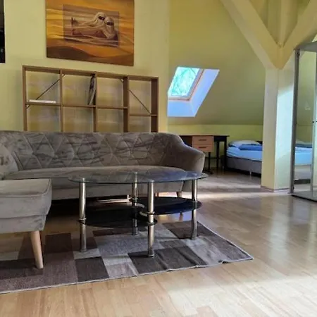 Center-big-apartman-110m2-tv-internet Apartman