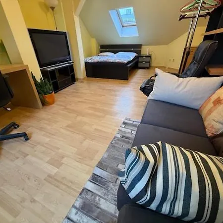 Apartament Spacious 110 M2 With 4 Private