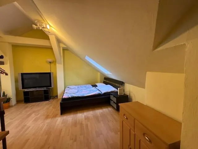 Διαμέρισμα Spacious 110 M2 With 4 Private Μπρατισλάβα