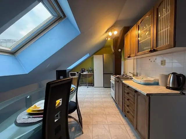 Spacious 110 M2 With 4 Private Διαμέρισμα Μπρατισλάβα