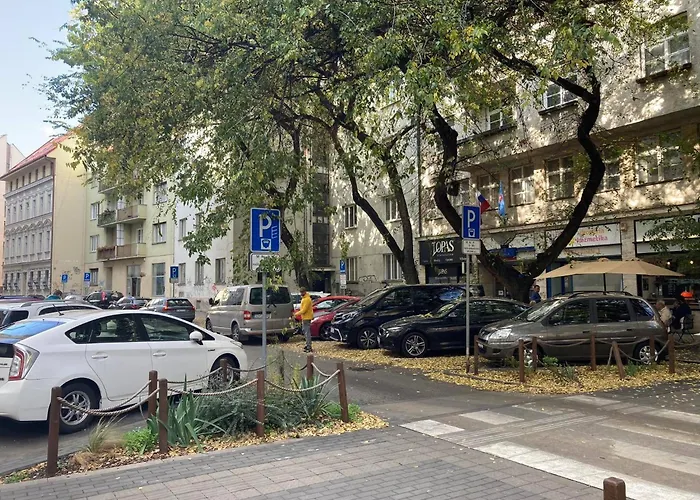 Spacious 110 M2 With 4 Private Appartement